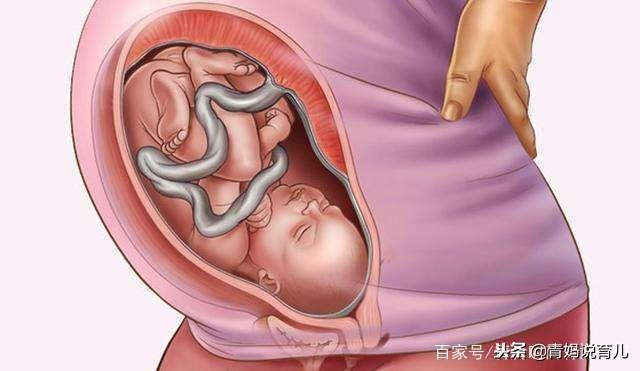 孕期这4种营养很关键，缺一种都可能影响胎儿健康，孕妈要重视