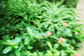 江嫂和小凡的姐弟恋情故事（微小说）图片