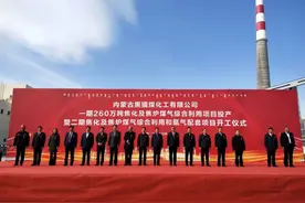 大项目！一期投产、二期开工，预计年销售收入约300亿图片