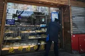 又拔除两山寨店，北京假“鲍师傅”今年有望归零图片