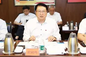 国产航母研制总指挥、歼十首飞一等功臣胡问鸣深夜落马图片