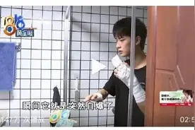 好好的淋浴房，怎么就自爆了？安全好用的淋浴房，就看这几点图片