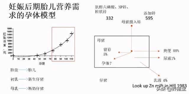 李曼大会听课笔记连载（二）（母猪营养、生长速度、应激、无抗）