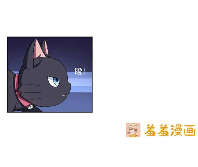 夜路走多了，竟捡到宝，带着巨钻的小黑猫一只