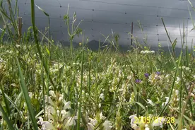 精英主义、个人主义与平民主义的辨析方法辨析图片