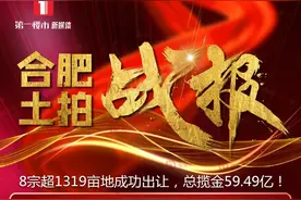 聚焦合肥土拍战！肥东、北城20家房企参拍！昨日土拍揽金59亿图片