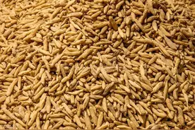 中兽药---温化寒痰类中兽药功能及用量图片