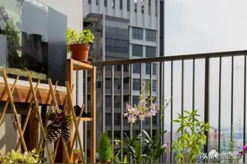 海缸新手宝典17：开缸的第一步，鱼缸摆放与器材检查图片