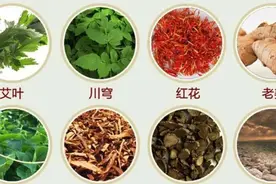 乡间路边常见的植物可能是上好中药。一文带您认识常见的野生中药图片