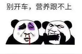 开车主题表情包图片