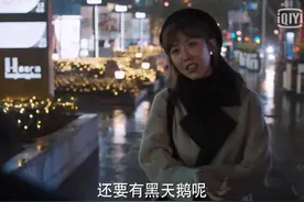 理想之城：红玫就是那只黑天鹅，她与张小北的结局其实早已注定图片