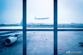 新加坡回中国超实用经验！行李、登机、健康码等问题要注意图片