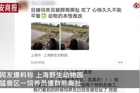网传上海野生动物园一饲养员遭猛兽撕扯，园方：确有此事图片