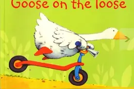 自然拼读绘本《Goose on the loose》通过拼读音素，学会单词发音图片