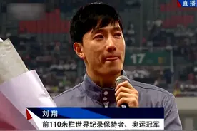 十二年功成名与就，“亚洲之光”刘翔，退赛背后的心酸图片