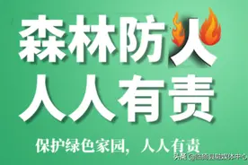 【倡议书】加强森林防火  提倡文明祭扫图片
