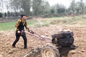 农村女人就是厉害，开拖拉机种地不怕苦，这技术一看就是老司机视频封面