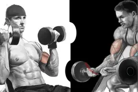 上斜哑铃弯举 VS 牧师椅弯举，有好也有坏，哪种更有效呢？图片