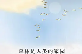 长漫丨引燃森林大火的“十宗罪”图片