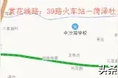 去牡丹园赏花有公交专线啦图片