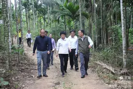 海南省人大常委副主任、卜南河、新吴溪省级河长何西庆赴澄迈开展巡河调研图片