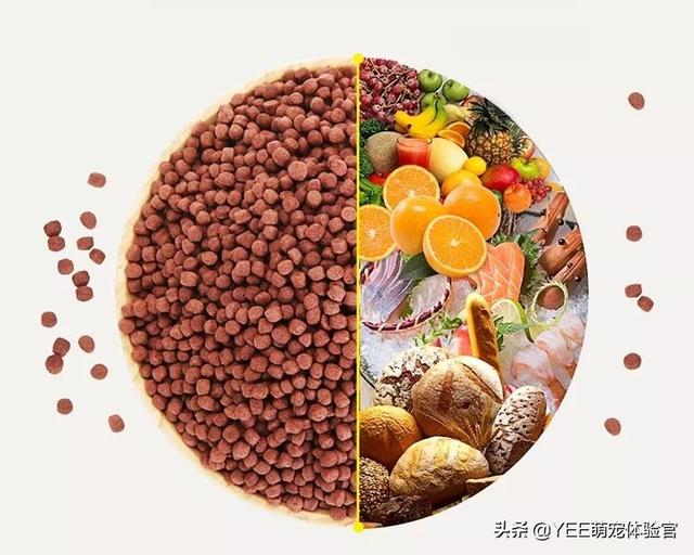 观赏鱼粮里的必需品，基本营养维持鱼的生命活动