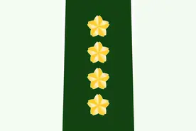 各国军衔标识：日本图片