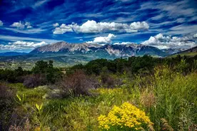 独家连载 | 矿业投资案例系列之抵抗势力图片