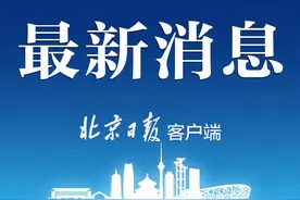 首都商务新区什么样？丰台大红门地区街区控制性详规公示图片