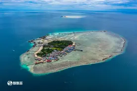 在世界顶级漫潜点「马步岛」，漫游小型海洋生物乐园吧图片