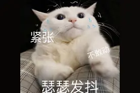 高考志愿填报完，多久出录取结果？查到什么状态算“稳了”？图片