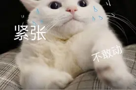 高考志愿填报完，多久出录取结果？查到什么状态算“稳了”？图片