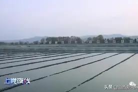 2020上党环保行—黎城：建设人工湿地 呵护碧水长流图片