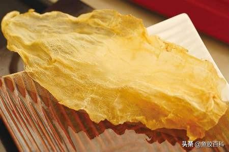 每天吃花胶的变化 2026年每天吃花胶的变化是什么