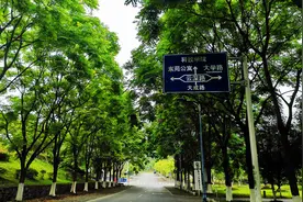 三峡大学美景随手拍：校园再美，没有学生还是缺少灵气图片
