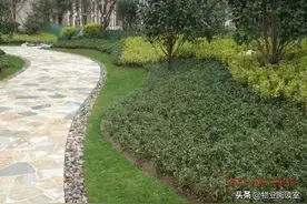 小区绿化养护22个实用技能，你一定要知道图片