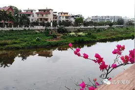 【我和我的家乡征文展播㉑】这些村的变迁，藏着武平人的幸福密码～图片