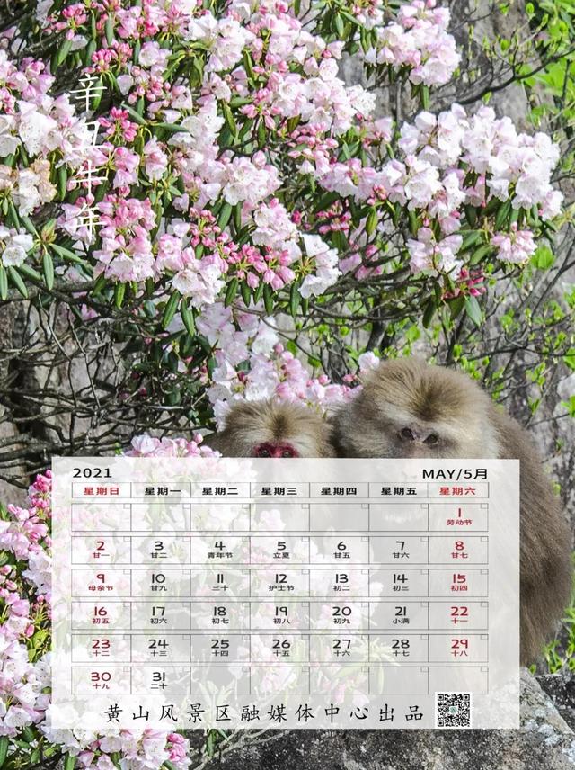 请收下2021年黄山旅游月历吧！
