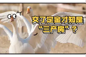 交了定金才知是“三产房”？南宁将专项整治小产权房图片