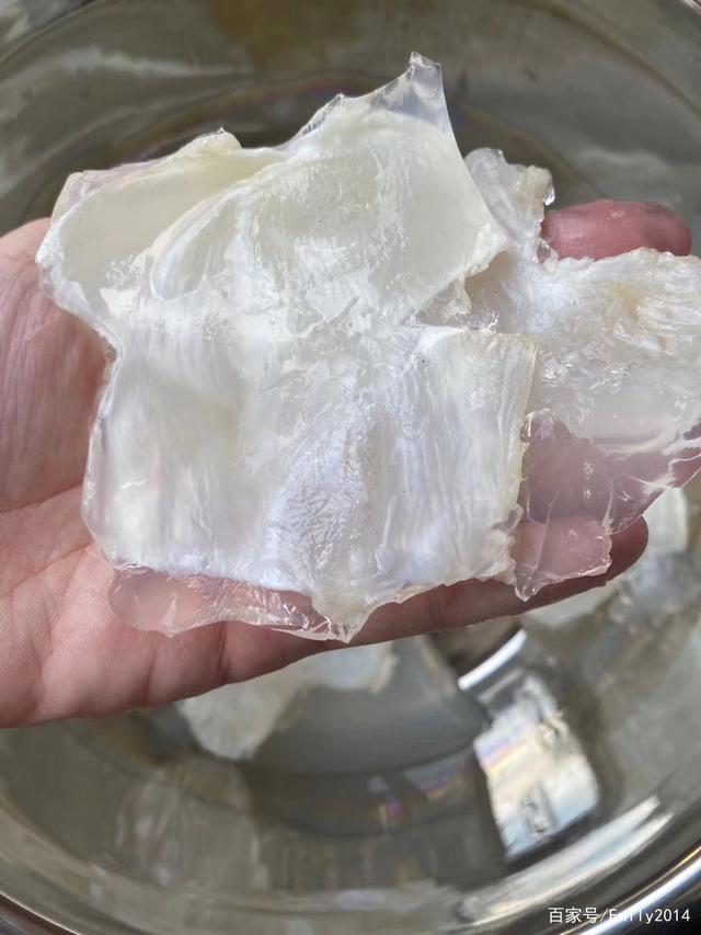 花胶炖溶了 2025年花胶炖溶掉好不好?