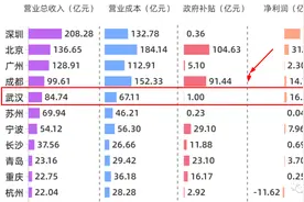 大揭底！武汉地铁盈亏图片