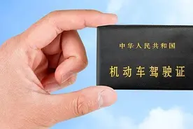 驾照吊销后网上状态显示什么？45天内显示两种信息，而后无显示图片