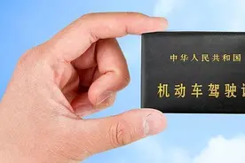 驾照吊销后网上状态显示什么？45天内显示两种信息，而后无显示图片
