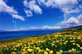 “5.19”游新疆 |  相约赛里木湖 拥抱最美的大自然图片
