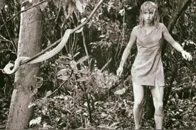 人能有多幸运？17岁少女3千米高空坠落，在雨林生存10天获救图片