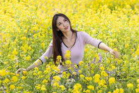 美女与油菜花图片