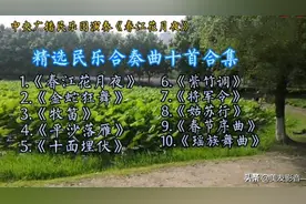 《春江花月夜》《金蛇狂舞》等精选民乐合奏曲十首合集|【美·音】图片