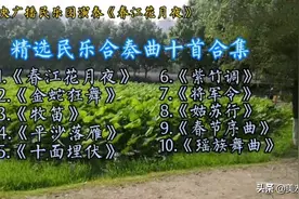 《春江花月夜》《金蛇狂舞》等精选民乐合奏曲十首合集|【美·音】图片