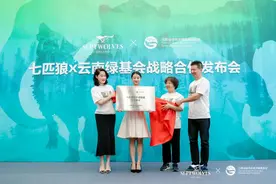 七匹狼焕新跨界艺术公益 斩获两大重磅奖项图片