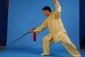 陈正雷老师陈氏太极单剑(图文)教程：第三十二式 海底捞月图片